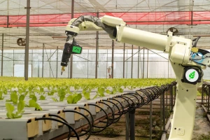 4 potpuno autonomna robota u poljoprivredi koji štede vrijeme, vodu, herbicide
