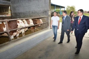 Romić: Idući tjedan počinje cijepljenje goveda!