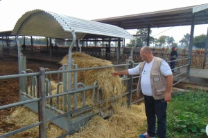 Domaće je i kad je iz nečijeg vrta i kombinata, a ključ uspjeha u odgoju