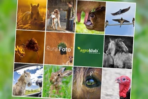 RuralFoto: Evo najboljih 10 fotografija iz kategorije #životinje