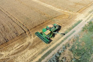 Putin očekuje rekordni prinos žitarica od 130 milijuna tona
