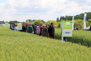 RWA pokus pšenice na polju Ivana Ostrihona: Prosječni prinos 11.654 kg/ha