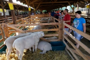 Farmer Expo 2018 već 27. put u Mađarskoj