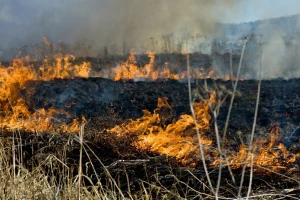 Samozapaljenje traktora kod Donje Dubrave izazvalo požar: Izgorjeli hektari raslinja