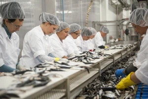 Hrvatske tvrtke probijaju se na rusko tržište