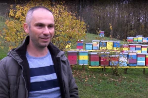 Krešimir Lesan: Toplo vrijeme utjecalo je na rezervnu hranu u košnicama