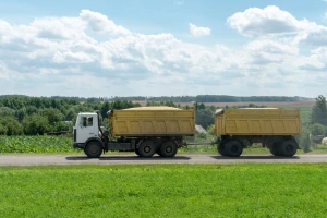 Izvozne cijene ruske pšenice na povijesno najnižoj razini