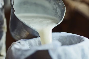 Koje su dobrobiti pijenja mlijeka, a na što paziti?