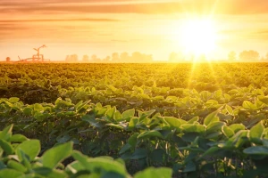 Alarm za planet: Prošla je godina najtoplija ikad zabilježena