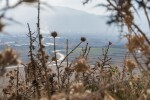 U tri godine samo četiri grada i općine prijavile zapuštene poljoprivredne površine?!
