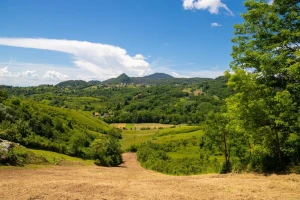 Ako vam je šuma unutar zaštićenog područja imate pravo na kompenzaciju