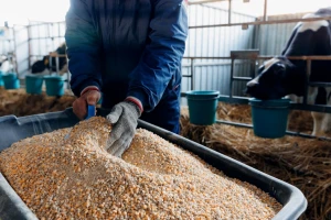 Nove carine EU-a protiv Kine: Hoće li poskupjeti stočna hrana?