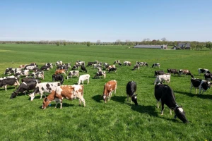 EU planira do 2040. smanjiti emisije stakleničkih plinova za 90 posto: Što to znači za farmere?