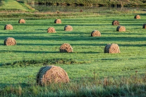 Na poljima ove jeseni sva godišnja doba!