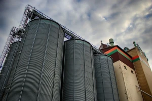 Cijena kukuruza u studenom bila 1,02 kn/kg
