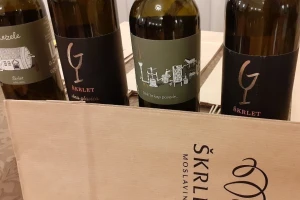 Škrlet - hrvatski vinski biser: Kako je očuvana vrijedna autohtona sorta?