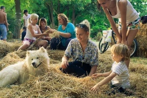 Dođite na 9. Slama - Land art festival!