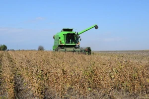 U Drenovcima će se godišnje preraditi 30.000 tona GMO free soje