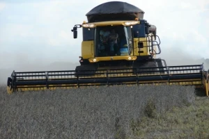 Većina zastupnika protiv GMO sjemena soje