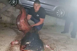 Izvukao soma teškog 77 kg!