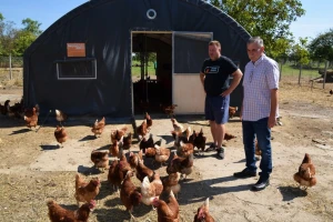 Sovar: Da nije bilo klastera ne bih se ni bavio jajima
