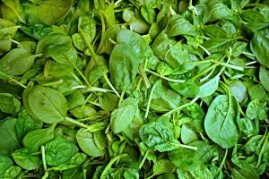 Popaj je ipak bio u pravu - špinat povećava snagu