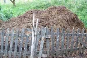 Što je potrebno znati za pravilnu manipulaciju stajskim gnojivom?