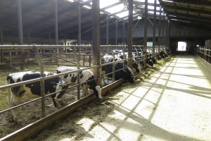 Tretiranje kukaca u stočarskim objektima