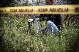 Tragedija u šumi, smrtno stradao u rušenju stabla