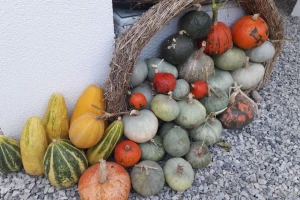 Čak 38 izlagača predstavit će svoje bučino ulje