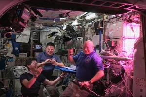 Astronauti uzgojili zelenu salatu u svemiru – rezultati iznenađujući