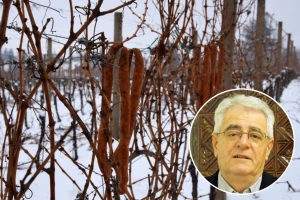 Malo snijega za blagdan sv. Vinka, blagoslov i početak radova u vinogradu