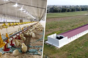 Kako će izgledati najmodernija farma pilića u Hrvatskoj, provjerili smo u Italiji