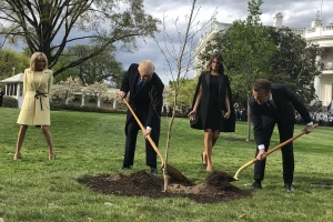 Sjećate se hrasta kitnjaka kojeg su zajedno posadili Trump i Macron? Osušio se