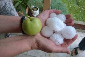 Tuča nanijela velike štete Međimurju