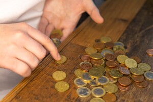 Uhićen serijski lopov koji je iz 24 poljoprivredne trgovine krao - kovanice?!