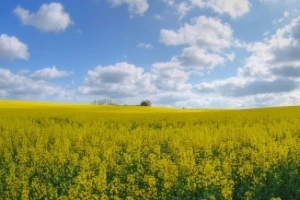 Izgledi za Hrvatsku za 13.06.2014-15.06.2014