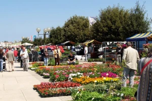 Umag Floria jubilarno izdanje sajma cvijeća