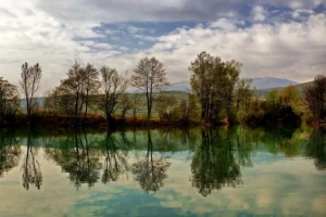 Šumsko-vegetacijske zajednice kanjonskog toka