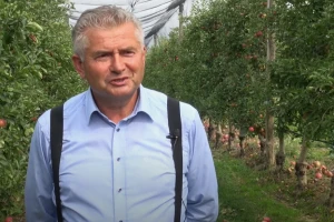 Marijan Aladrović: Idared najmanje zahtjevan za uzgoj, a jonagold ima najbolji okus