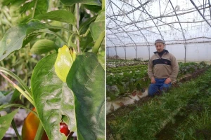 Marjan Krebs: Jednostavno sam prestao kopati, ali nisam ostavio tlo golim
