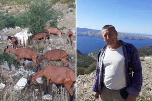 Ivan Prpić svaki dan prijeđe s kozama 20-ak kilometara po Velebitu, mjesečno podere par cipela