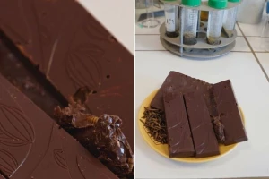 Čokolada od brašna od crva? Ipak ne! O čemu je onda riječ?