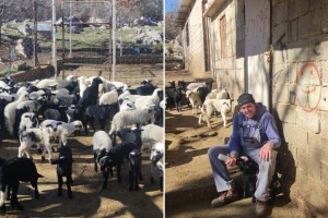 Cijena viša, potražnja ne jenjava - za domaću janjetinu postoje i liste čekanja