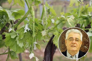 I dalje nestabilno s lokalnim pljuskovima i grmljavinom, moguća i tuča