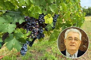 Pripremite se, stiže novi toplinski val