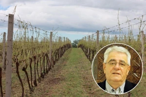 Vrijeme u danima koji dolaze pogodovat će sanaciji nastalih šteta od nevremena