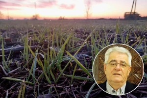 Znali su naši stari: Bolje da je prosinac ružan, nego južan
