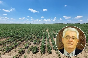 Ljeto nam stiže i astronomski, a tlo ubrzano gubi vlagu
