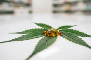 Uvozimo medicinsku konoplju kanadske tvrtke